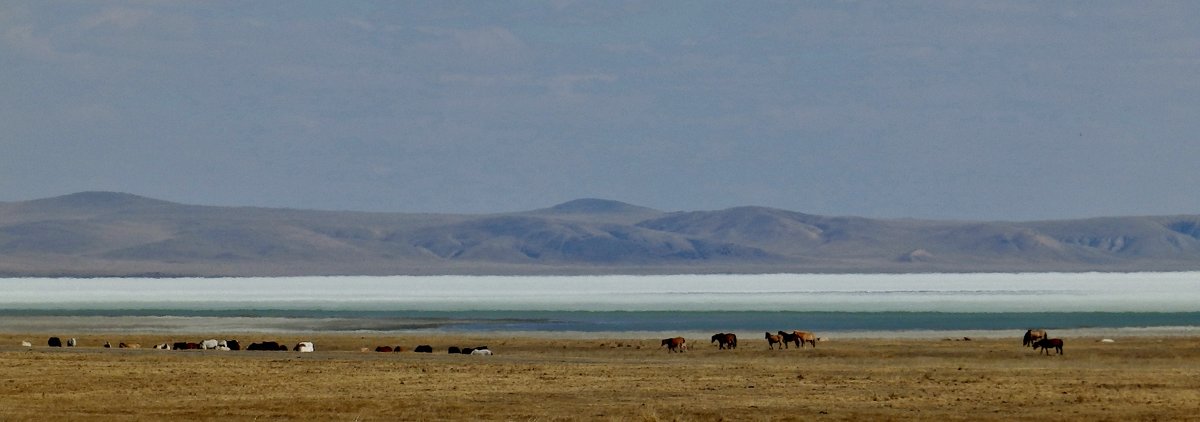 Озеро Зун-Торей, Забайкалье, апрель - Анна 