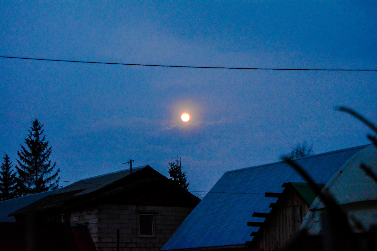 жёлтая луна - Света Кондрашова