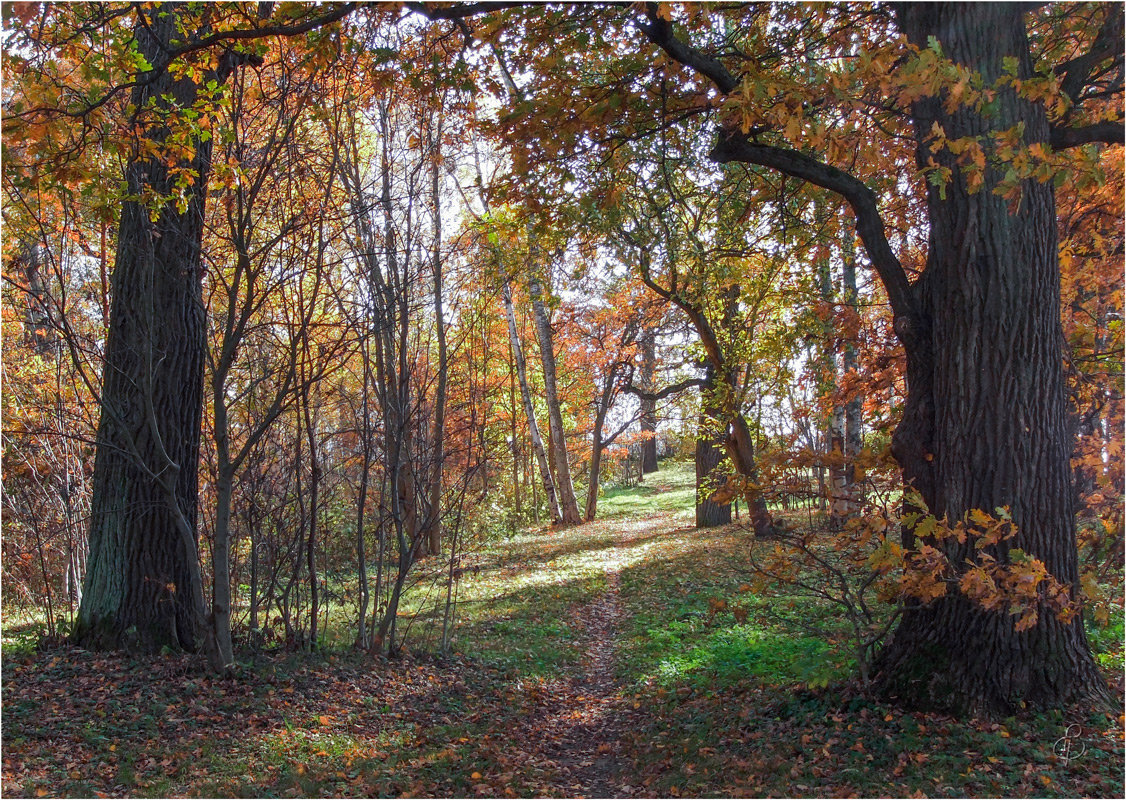 Осенний уголок парка - Виталий 