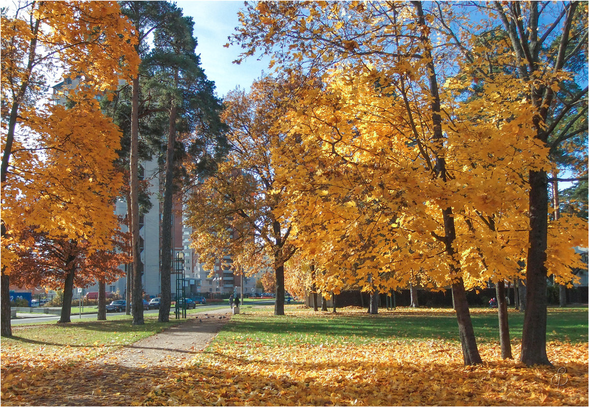 Осенний уголок города - Виталий 