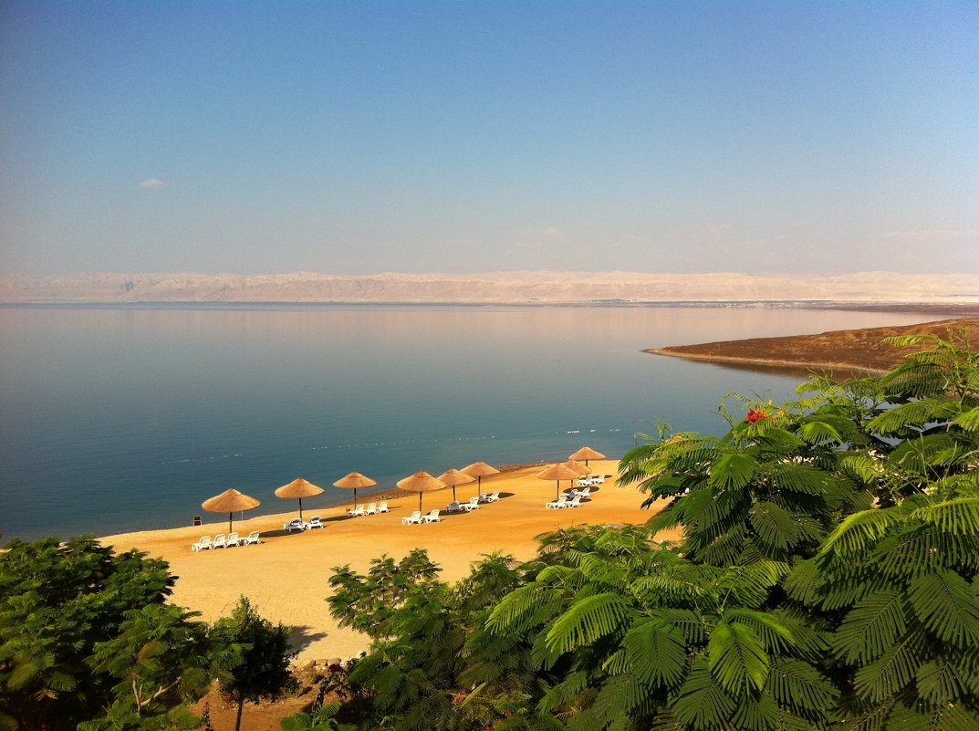 Мертвое море - Ирина 