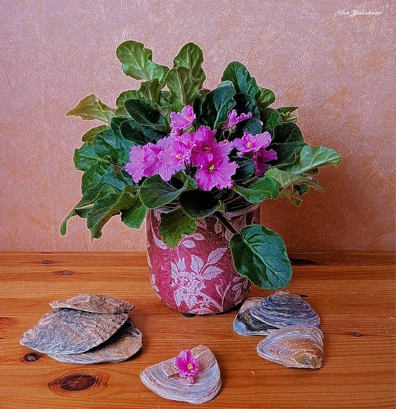 Розовая фиалка и створки ракушек - Nina Yudicheva