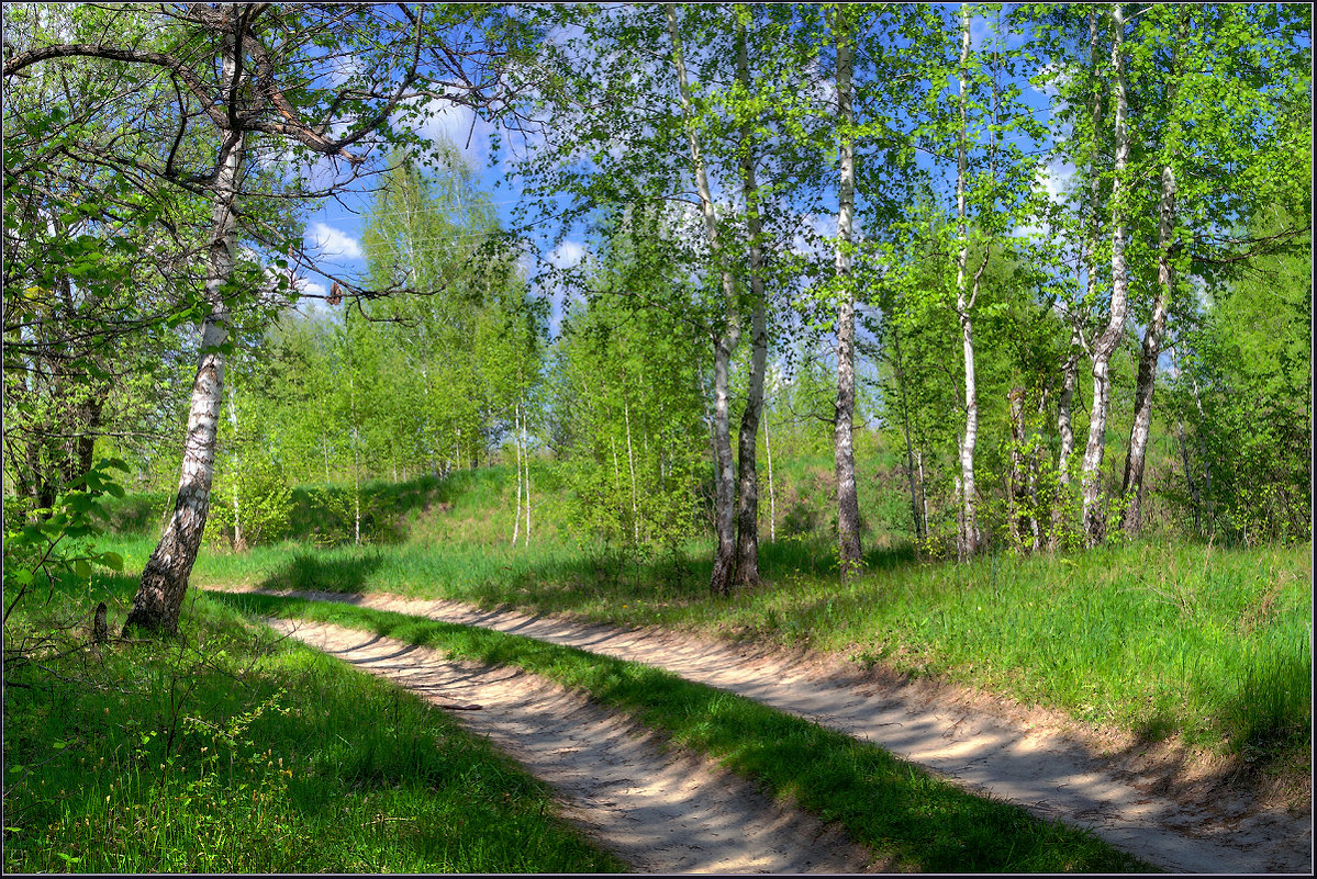 *** - Александр Лихачёв