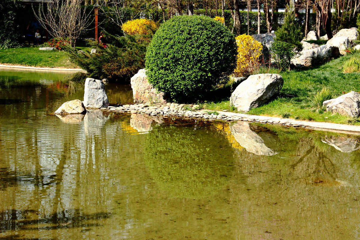 В японском саду весной - Светлана 