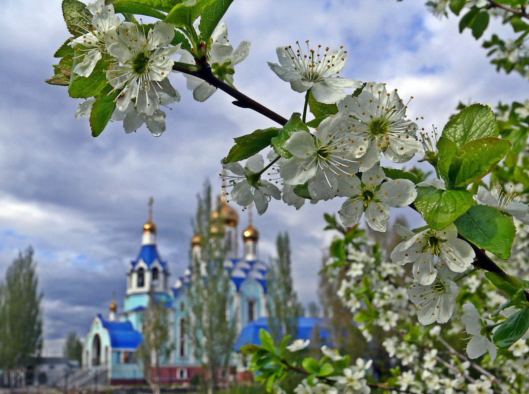 Монастырь в цветах