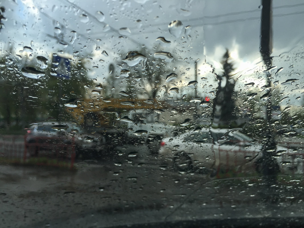 Взгляд из машины в дождь - Екатерина Асютина