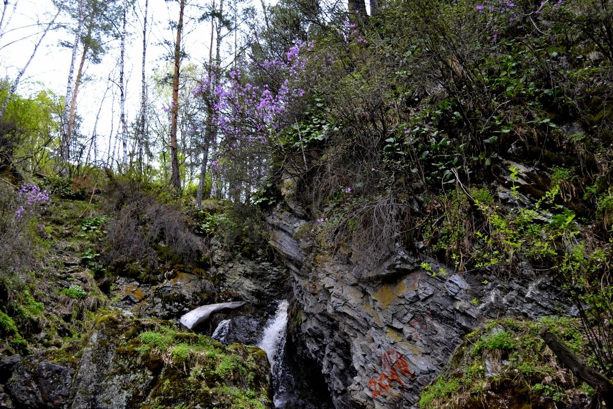 водопад  в лесу - Tatiana Lesnykh Лесных