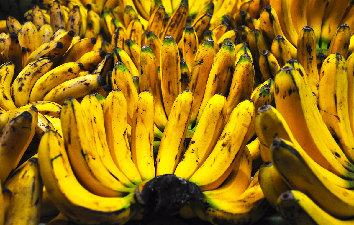 Рай бананов