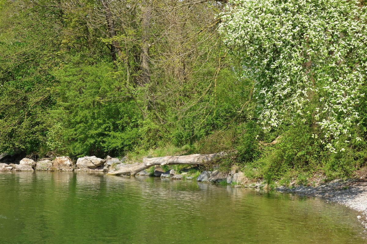 Весна на реке.... - Galina Dzubina