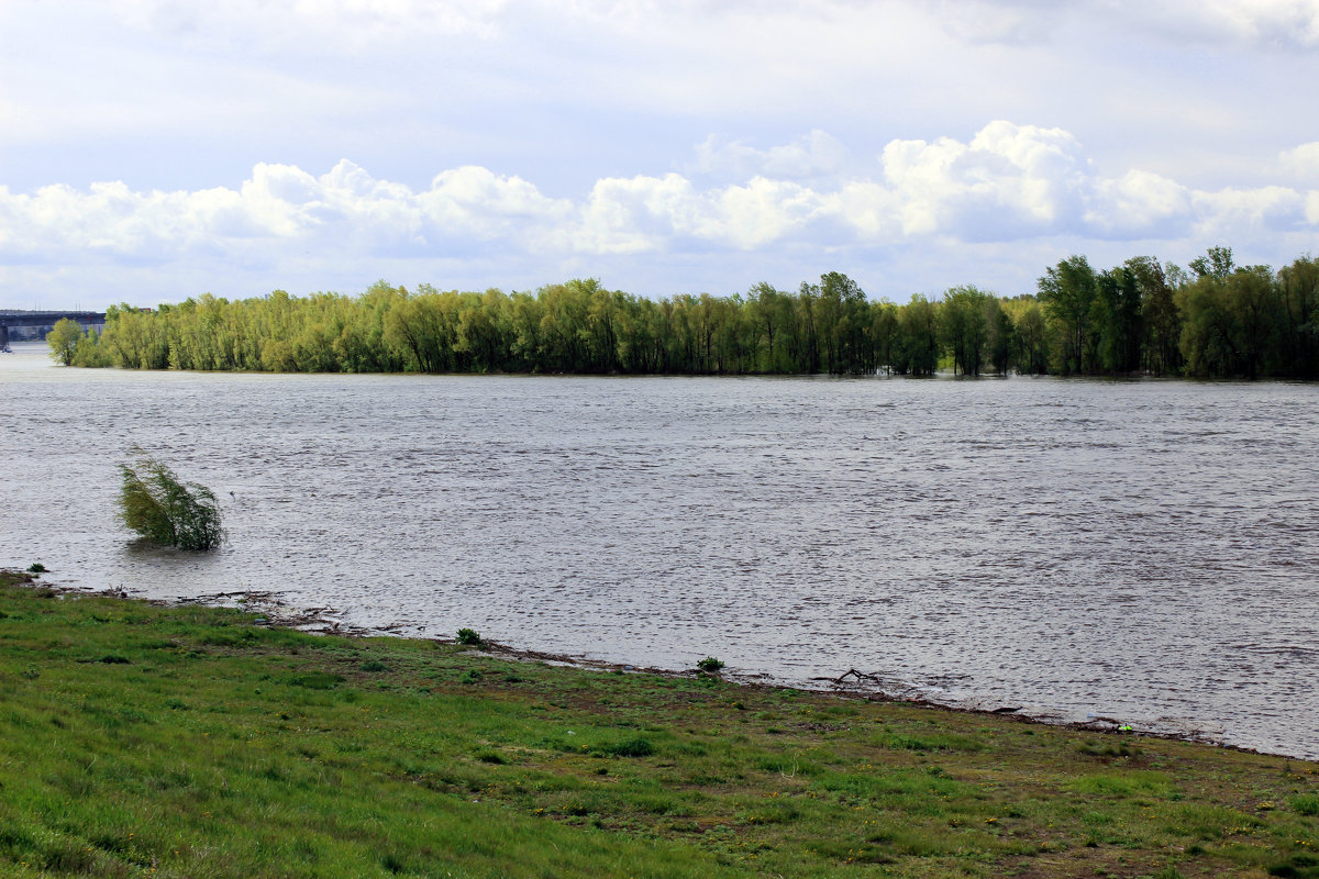 Несёт свои воды  Иртыш - раиса Орловская