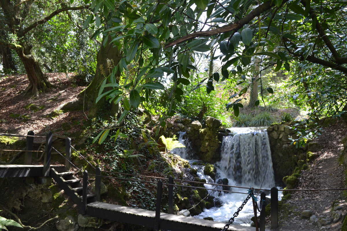 Речушка с водопадом и мостиком. - zoja 