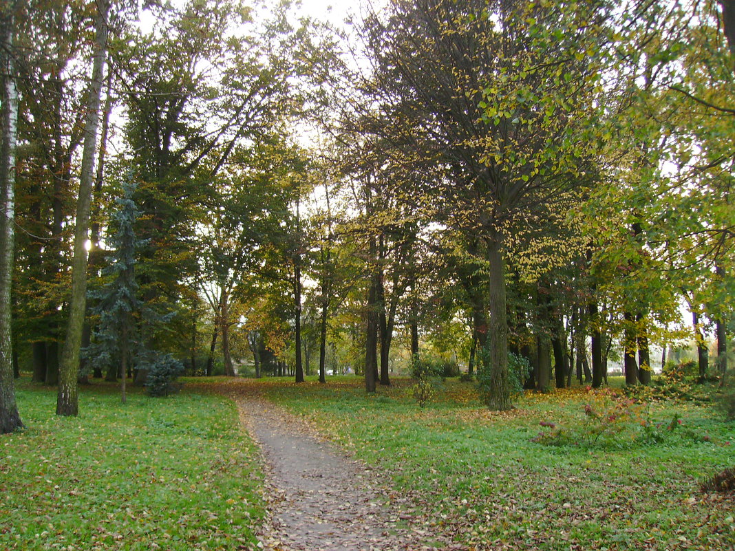 Осень  в  Ивано - Франковском  парке - Андрей  Васильевич Коляскин