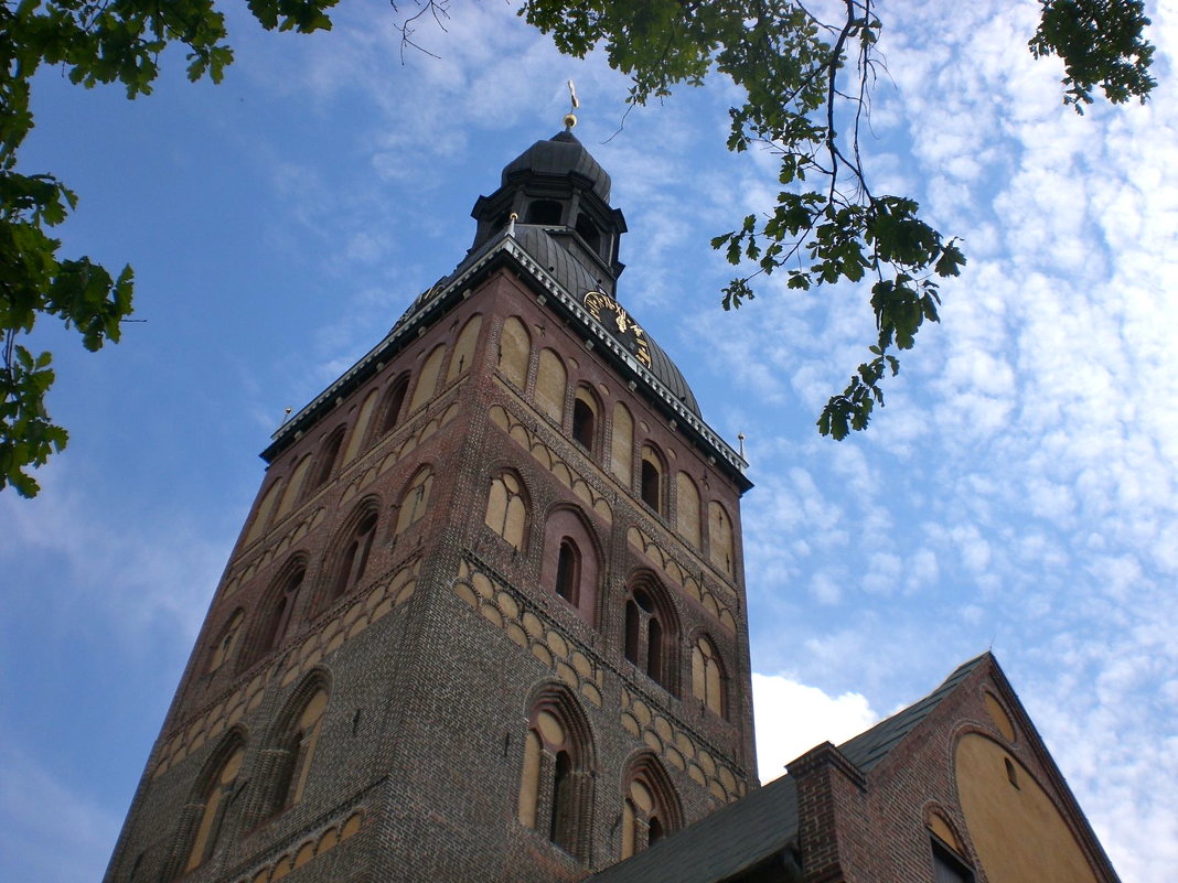 башня Домского собора - Елена 
