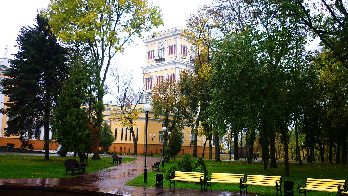 Дворцово-парковый ансамбль. Гомель - Павел Карако