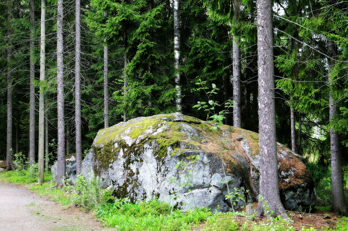 Финские камни - Евгения К