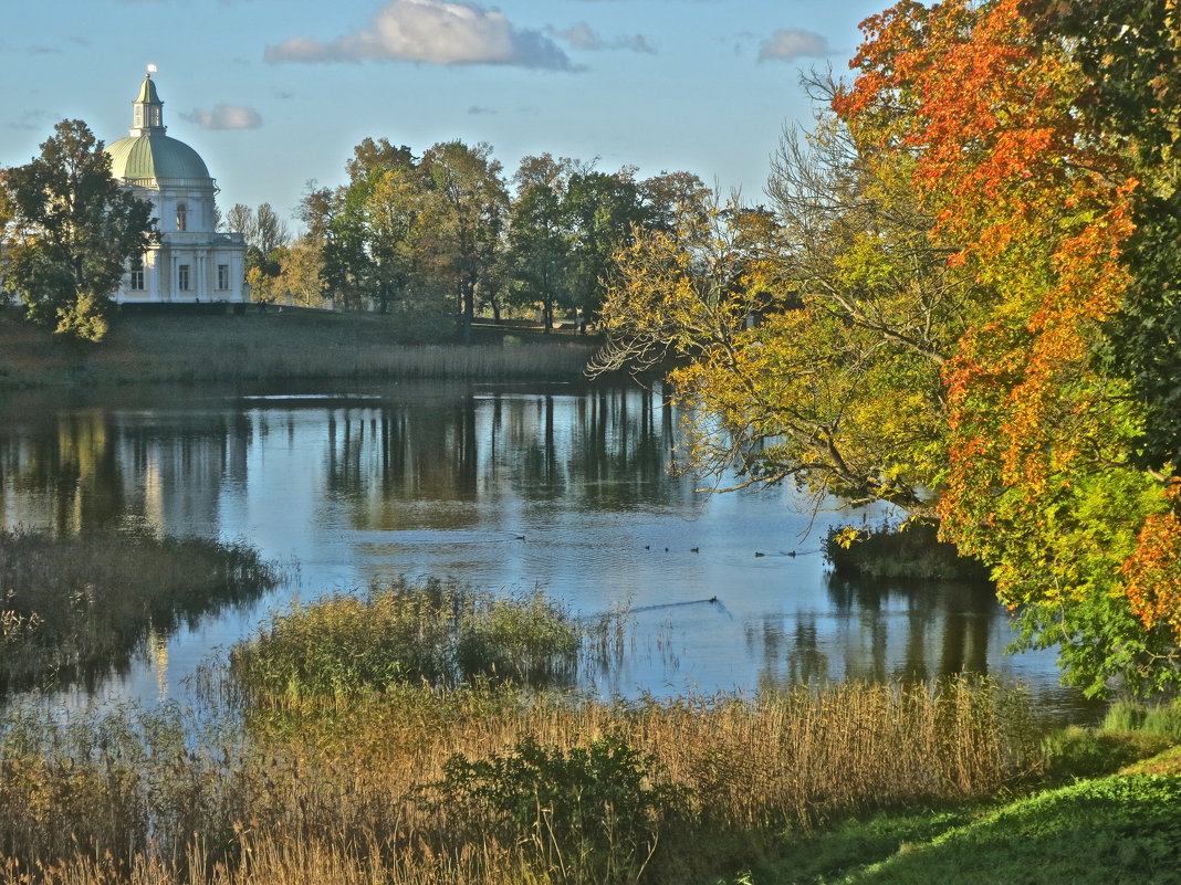 осенний Ораниенбаум - Елена 