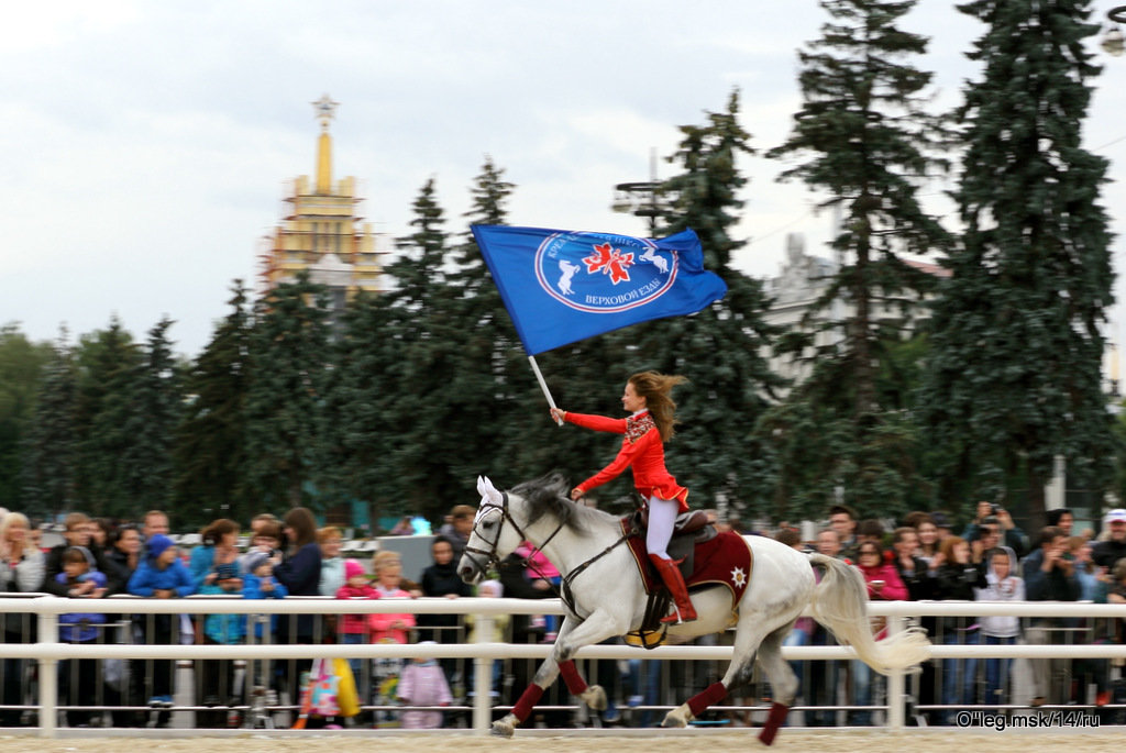 девушка и белый конь - Олег Лукьянов