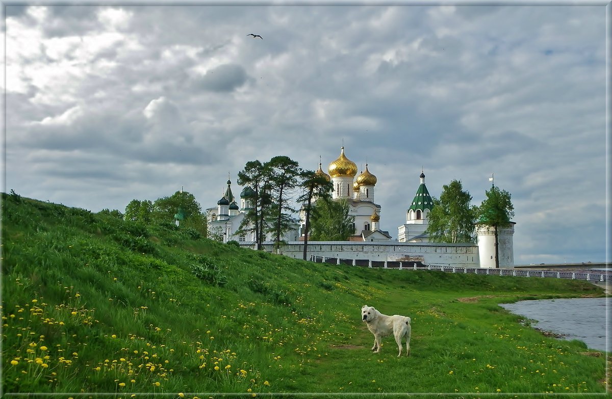 Весеннее настроение ..... - Святец Вячеслав 