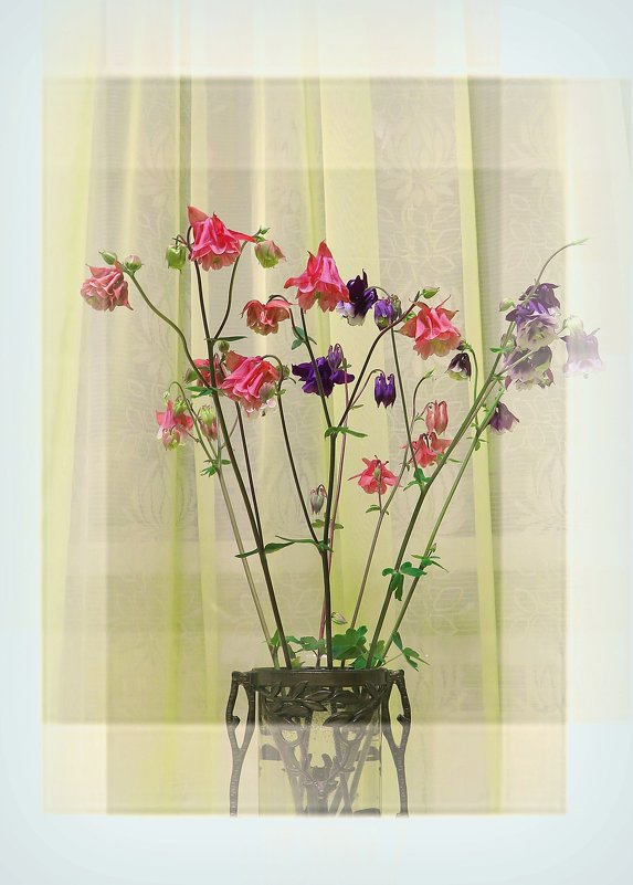 Цветы - Геннадий Храмцов