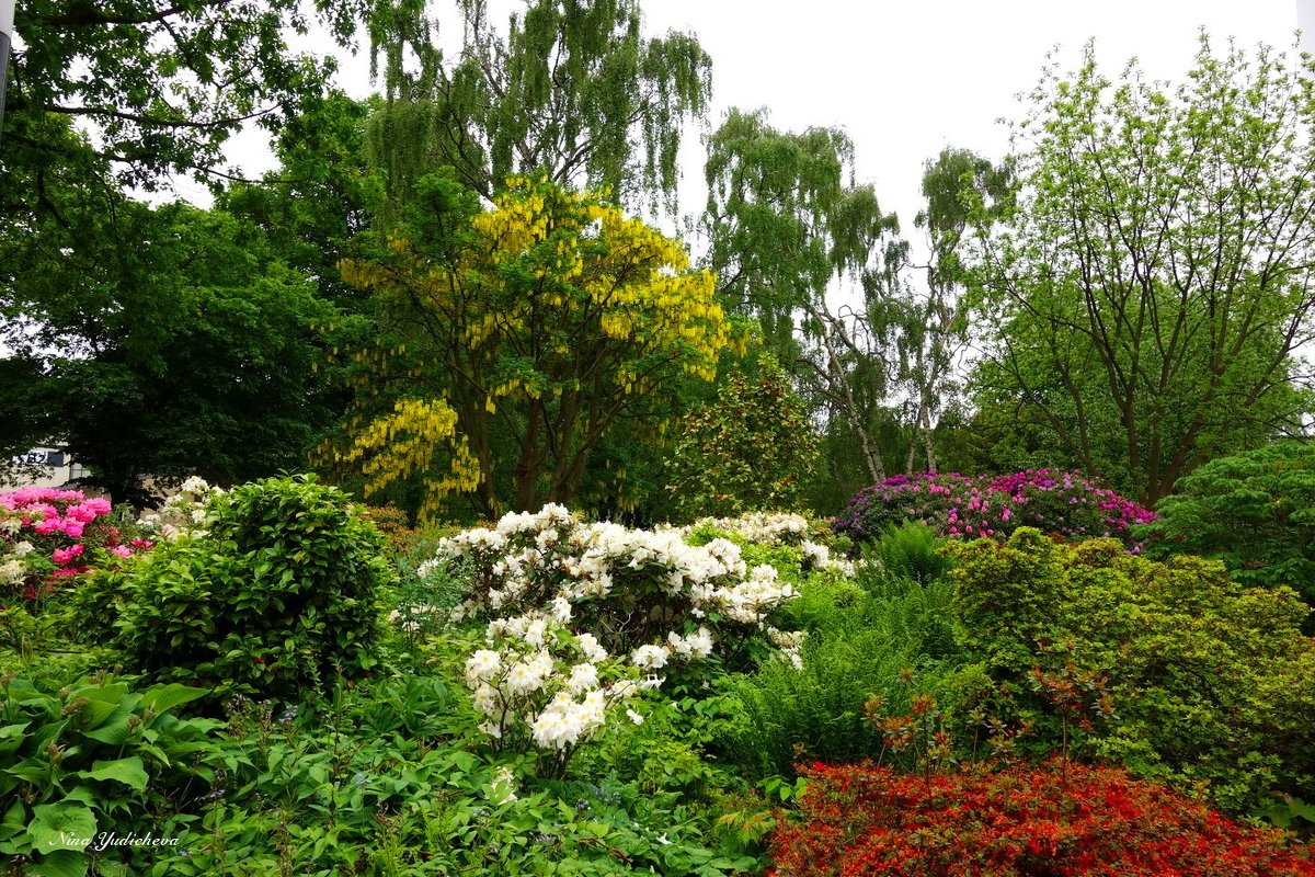 Planten un Blomen. Hamburg - Nina Yudicheva