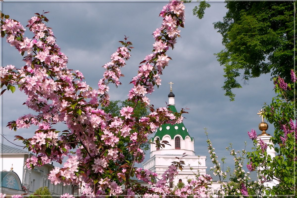 Картинки церковь и цветы