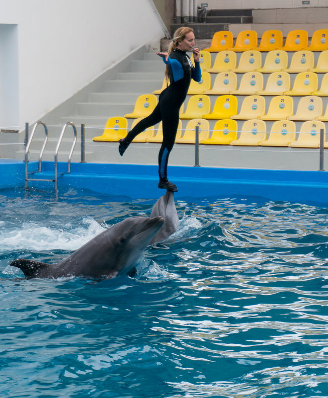 Одесский дельфинарий - Сергей Форос