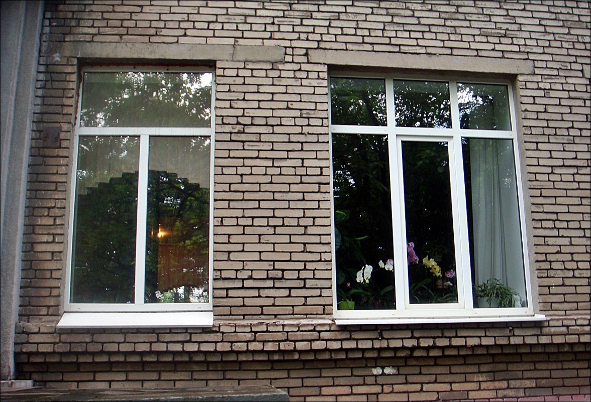 Школьные окна сегодня - Нина Корешкова