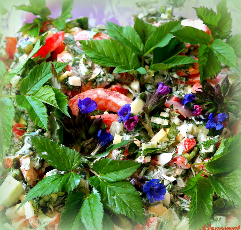 Весенний салат со снытью и медуницей - Андрей Заломленков
