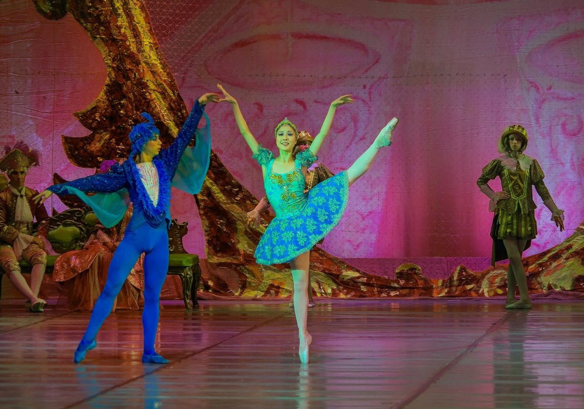 Сцена из балета "Спящая красавица" - Владимир Максимов