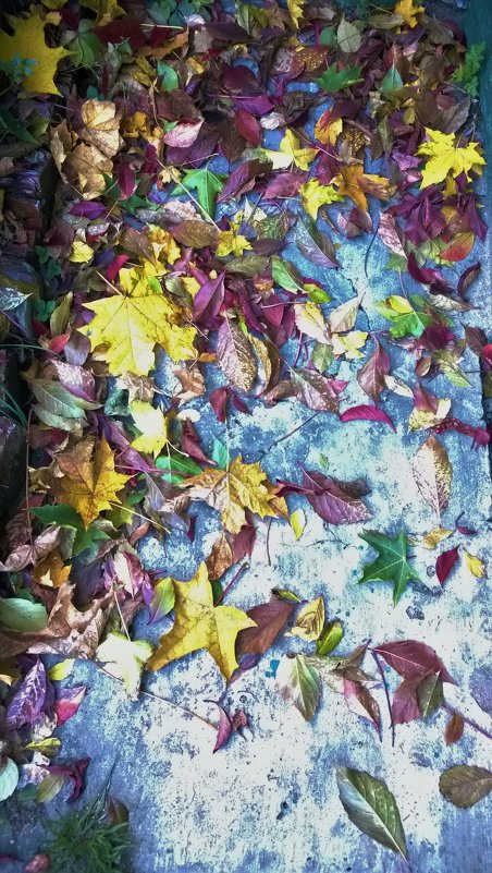 Осенние краски - Юлия Ненахова