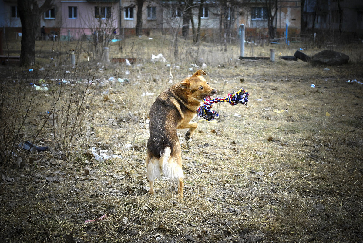 Я невероятно злая... - Александр Белоконь