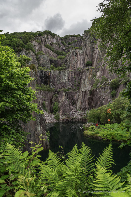 Snowdonia National Park - Aleksandr Papkov