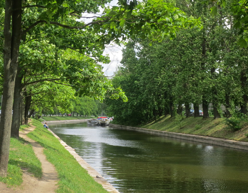 Река Карповка Санкт Петербург