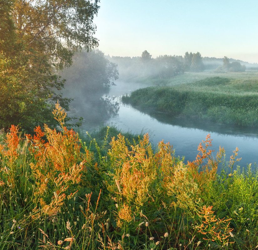 Утро у туманной реки - Николай Андреев
