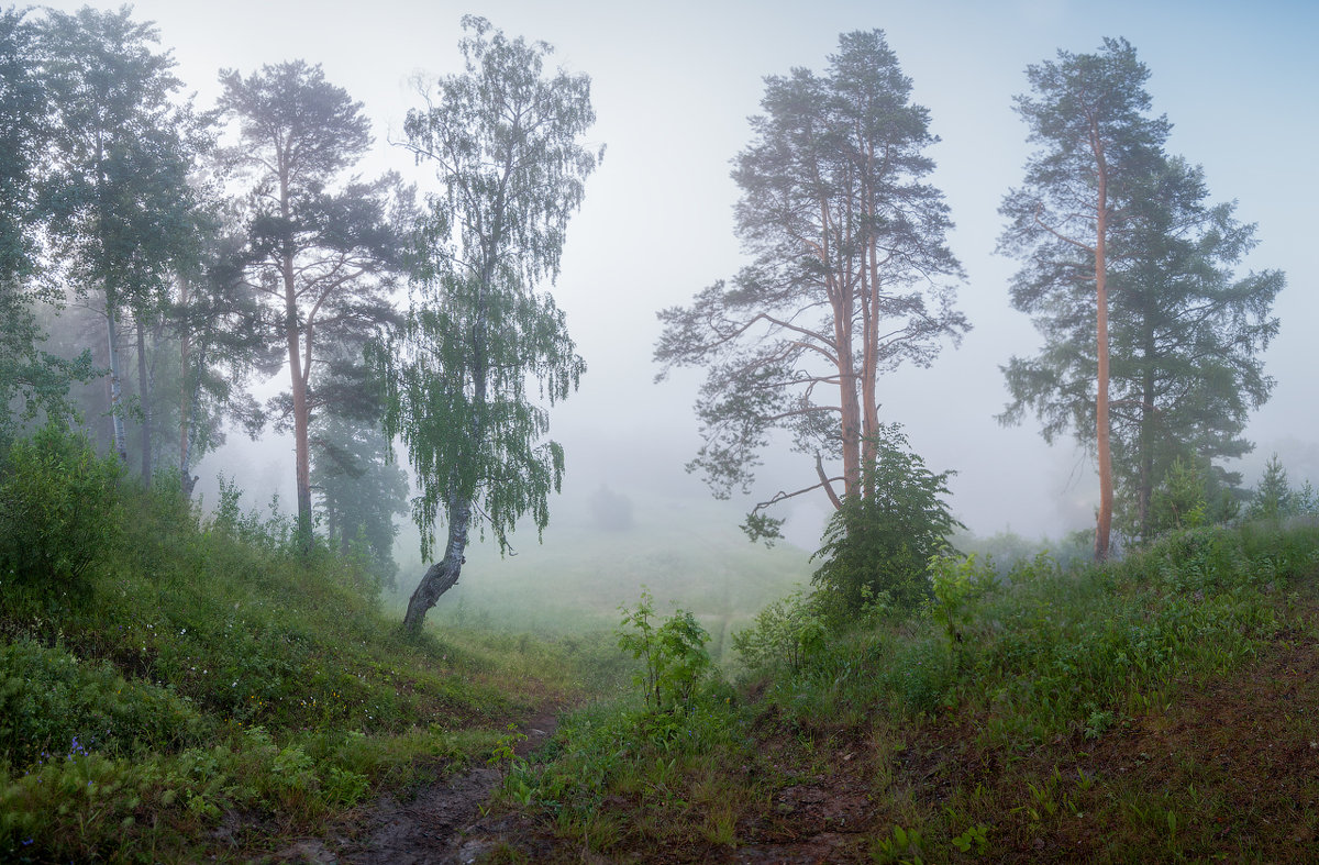 Туманное утро - Виталий Истомин