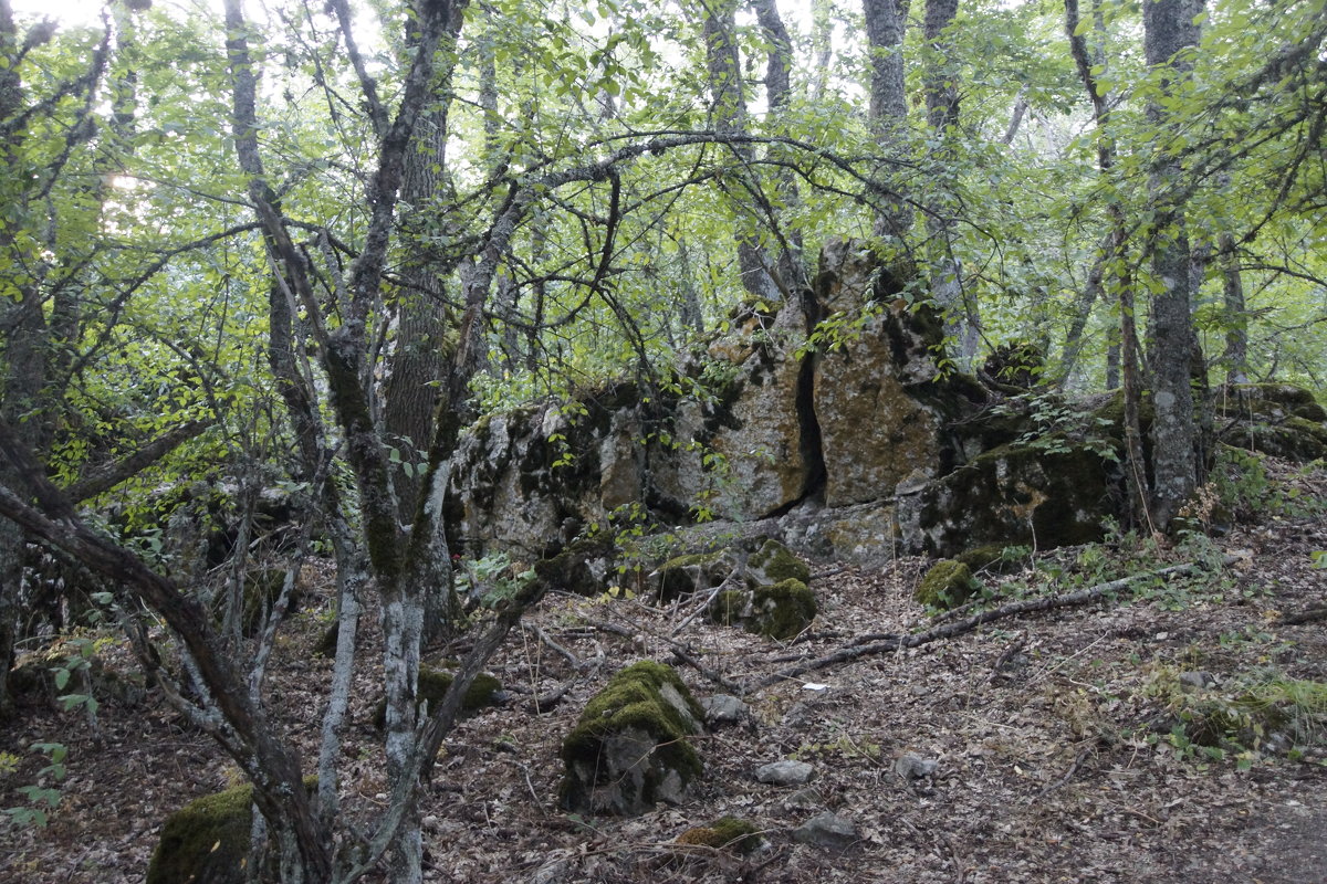 Крым - Виктор Кораблев