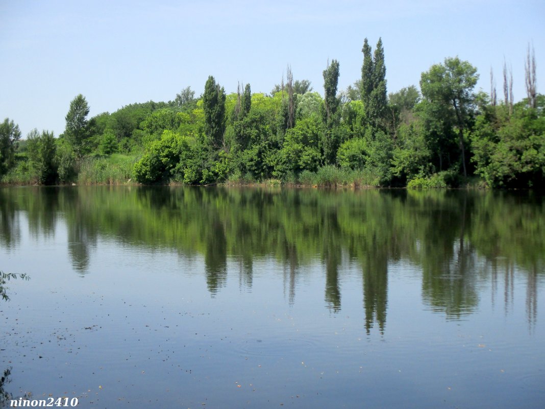 Озеро в ростовском зоопарке... - Нина Бутко