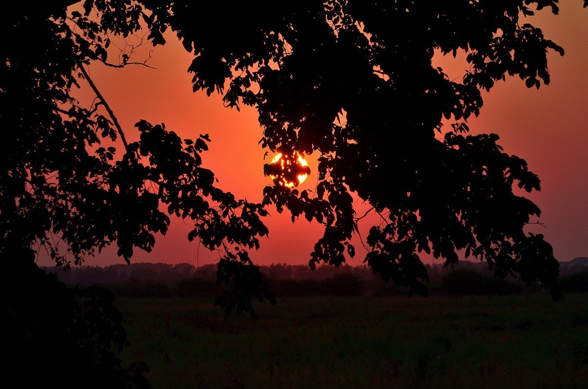 Вечерний пейзаж с закатом.. - Юрий Анипов 