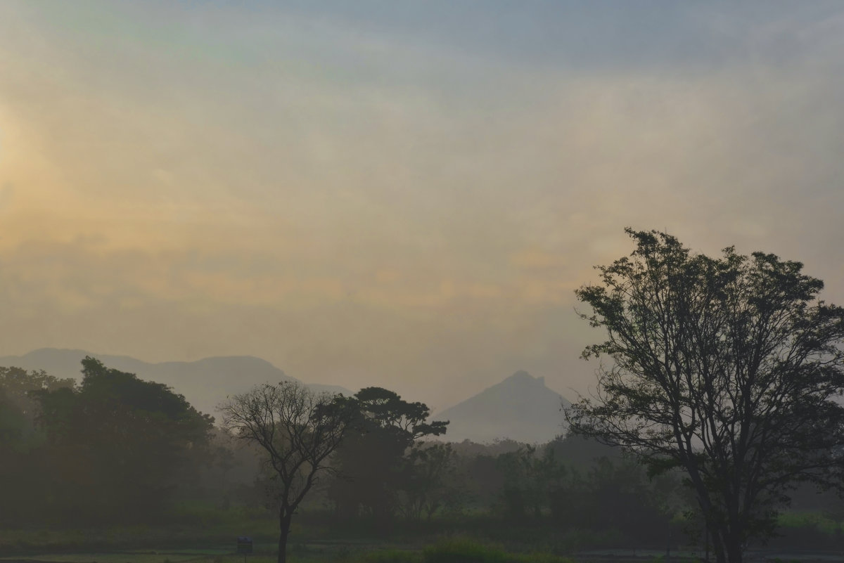 Утро над рисовыми полями Цейлона. Morning over the rice fields of Ceylon. - Юрий Воронов
