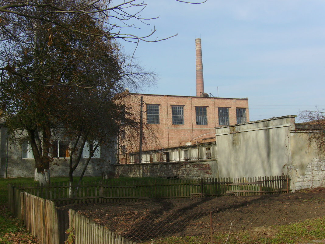 Сахарный  завод  в   Городенке - Андрей  Васильевич Коляскин