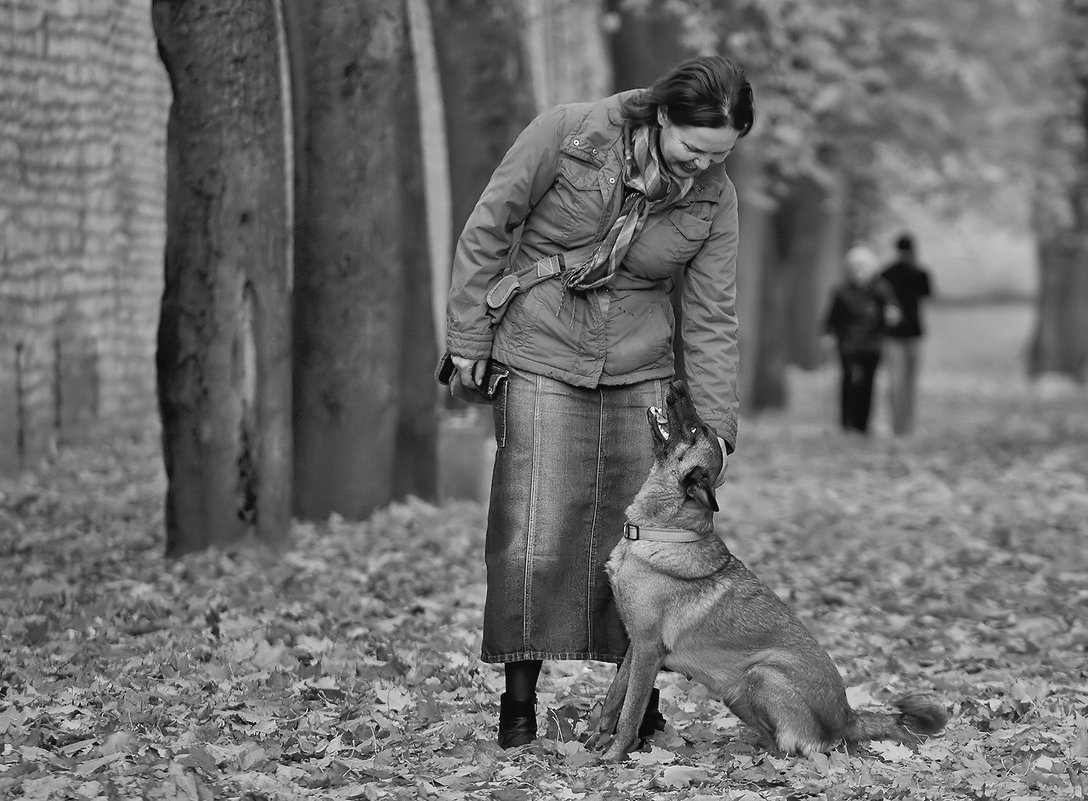 Прижмите к сердцу рыжую собаку - Валентина Ломакина