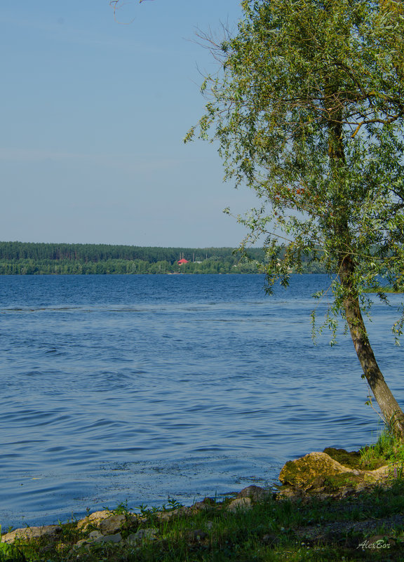 ... - Алексей Бортновский