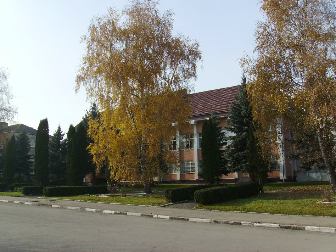 В  Городенке - Андрей  Васильевич Коляскин