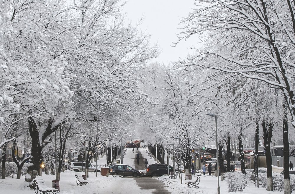 Городская среда - Тамара Рылова