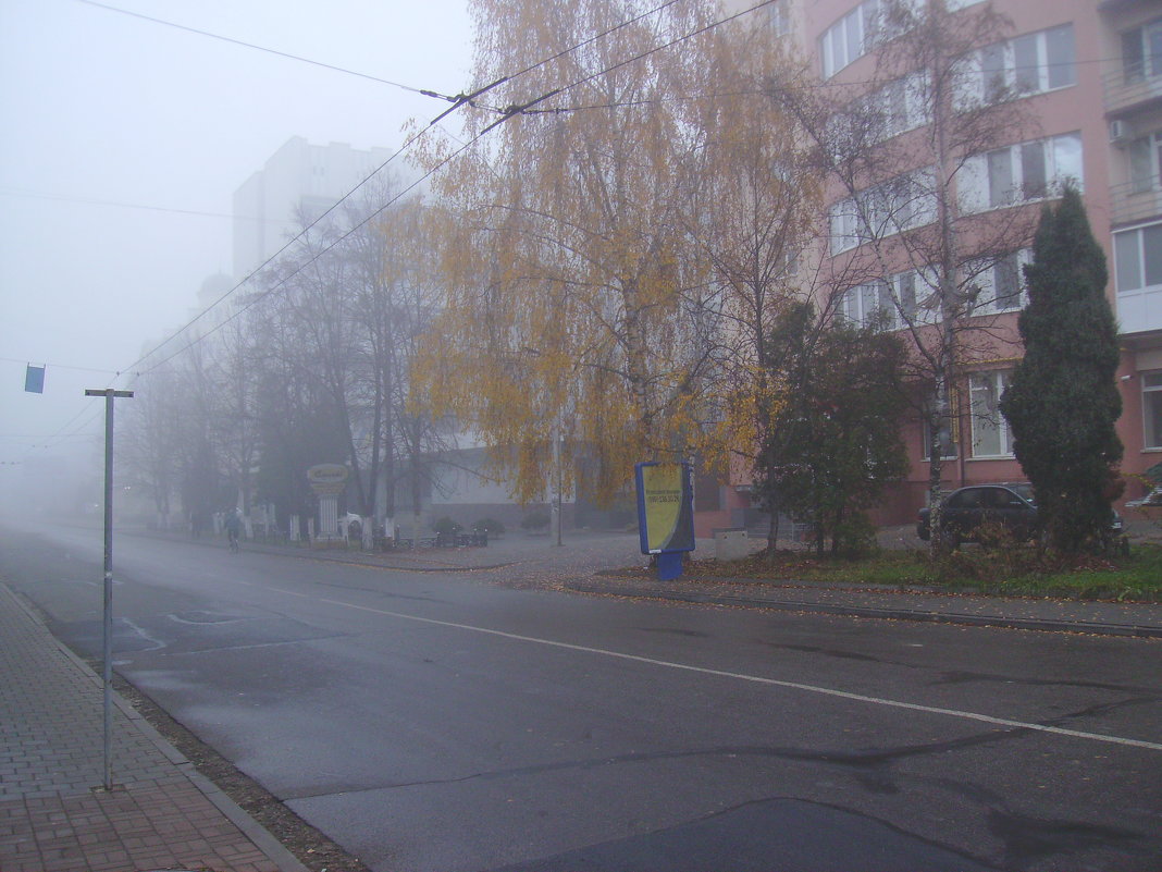 Туманное  утро  в   Ивано - Франковске - Андрей  Васильевич Коляскин