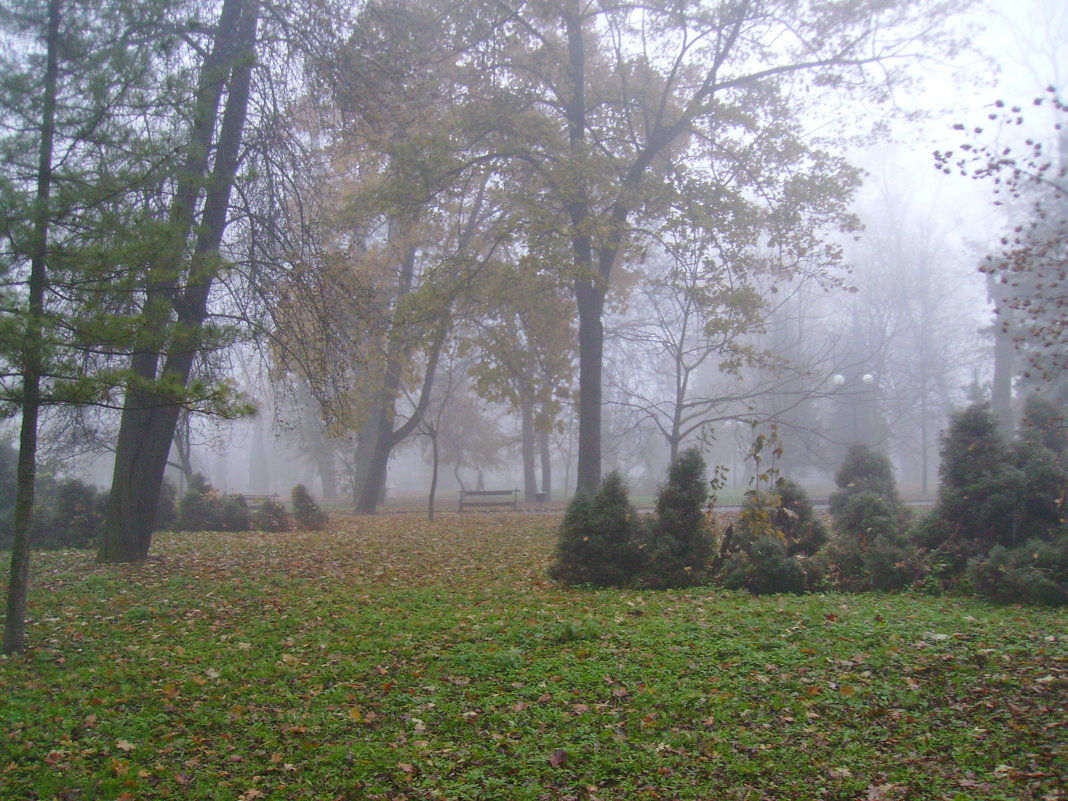 Туманное   утро  в   Ивано - Франковске - Андрей  Васильевич Коляскин