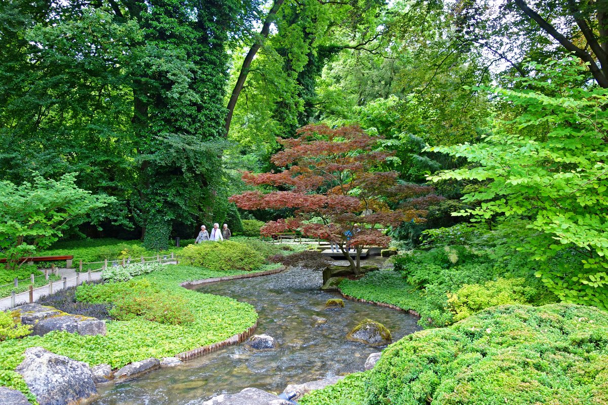 Японский садик - Galina Dzubina