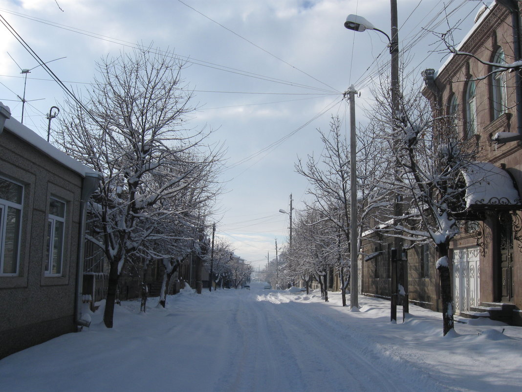 Mорозные и снежные зимы. - Volodya Grigoryan