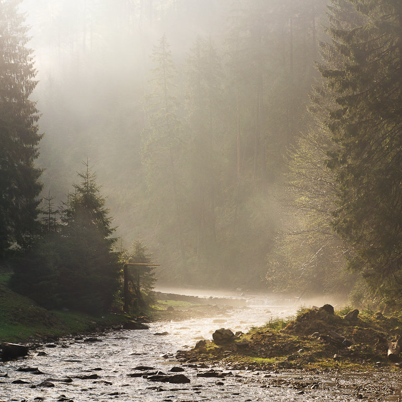 Morning Light - Roman 