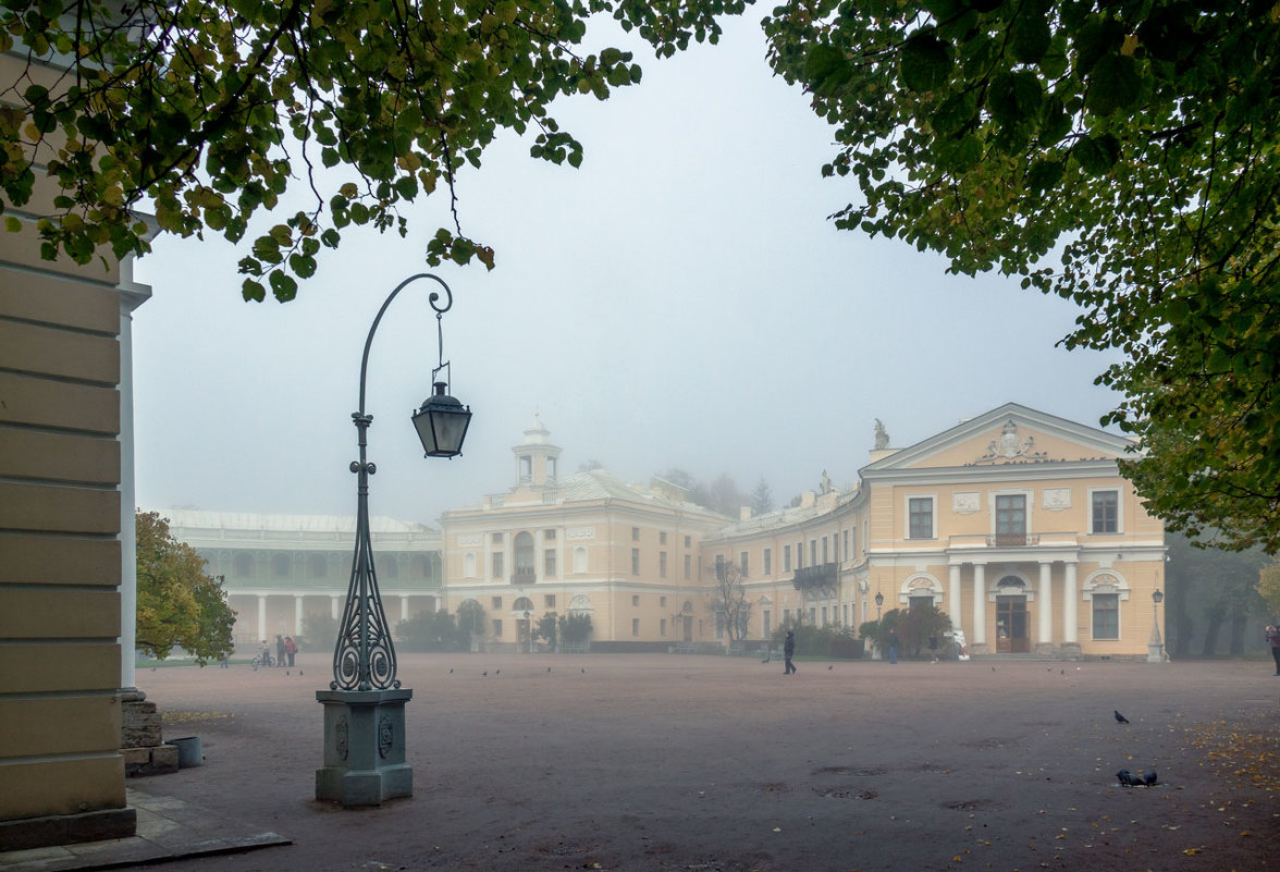 Дворец в тумане и фонарь - Владимир Миронов